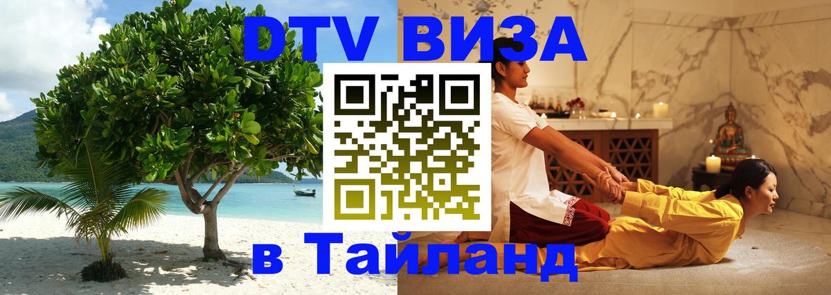 Оформление DTV визы под ключ: стоимость и тарифы, только загранпаспорт - Новомосковск  21.11.2025 